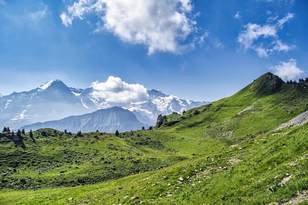 Pyrenees Guide Montagne